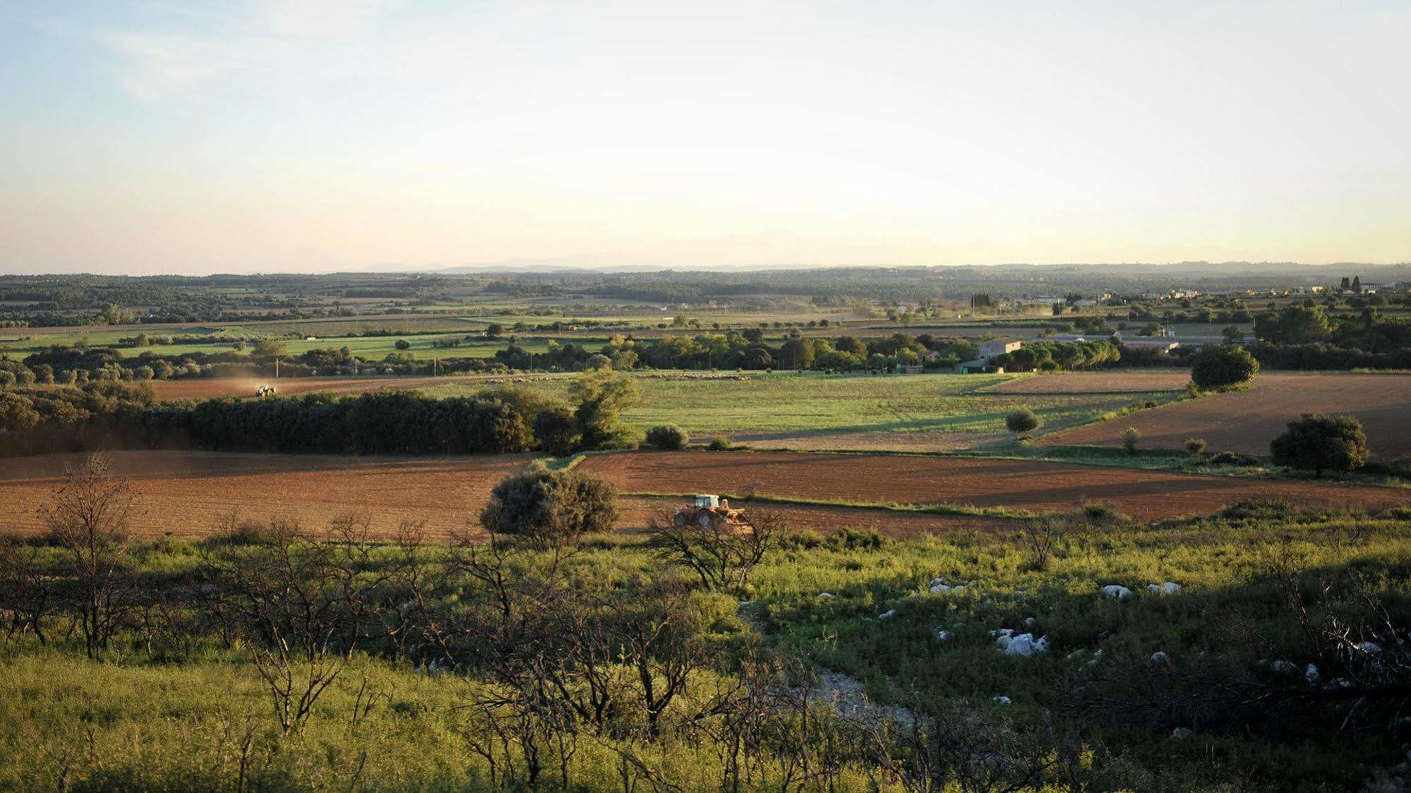 Mas Falgarona Hotel Boutique & Spa Avinyonet de Puigventos ภายนอก รูปภาพ